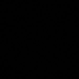 Meet your Posher, Macy